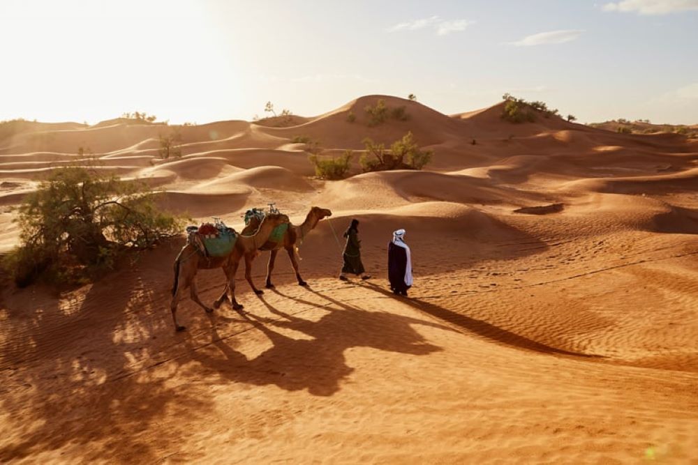 people walking with their camel in the deset