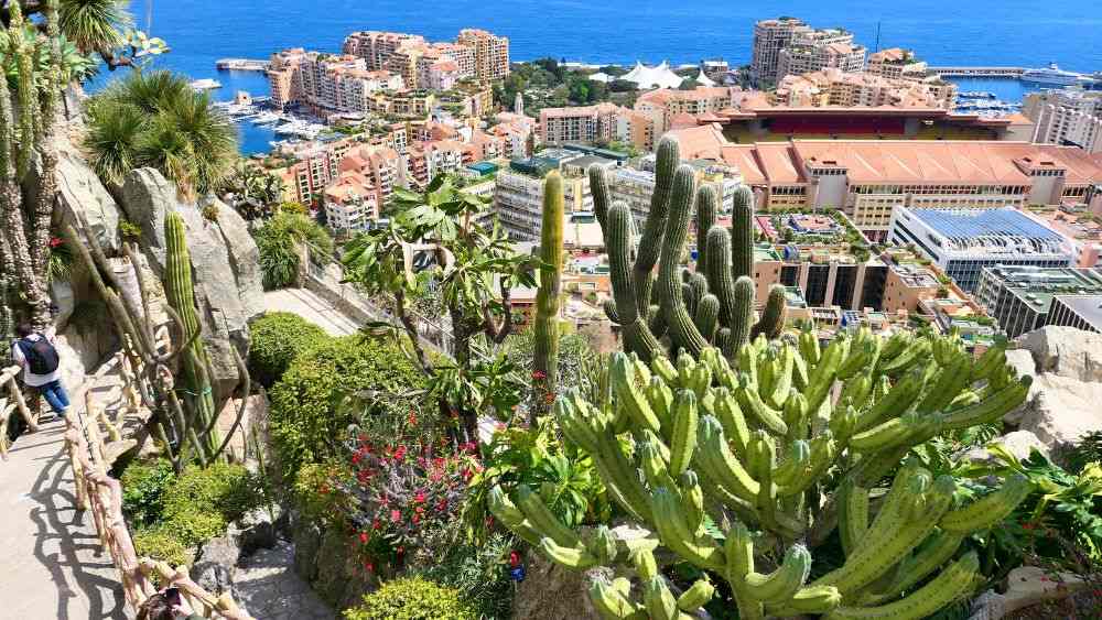 Perched on a cliff showing vast collection of succulent plants and cacti and offers spectacular views of the city and the coastline. - Things to do in Monaco