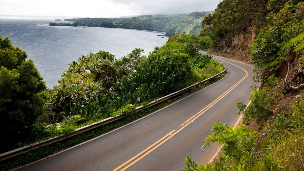 Highway showing body of water and forest -Best road trips in the world
