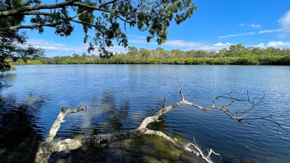 peaceful lake picture with trees on the side