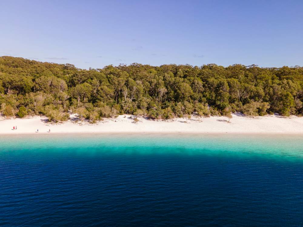blue body of water in front is a forest full of green trees - Best Places to Visit in Australia