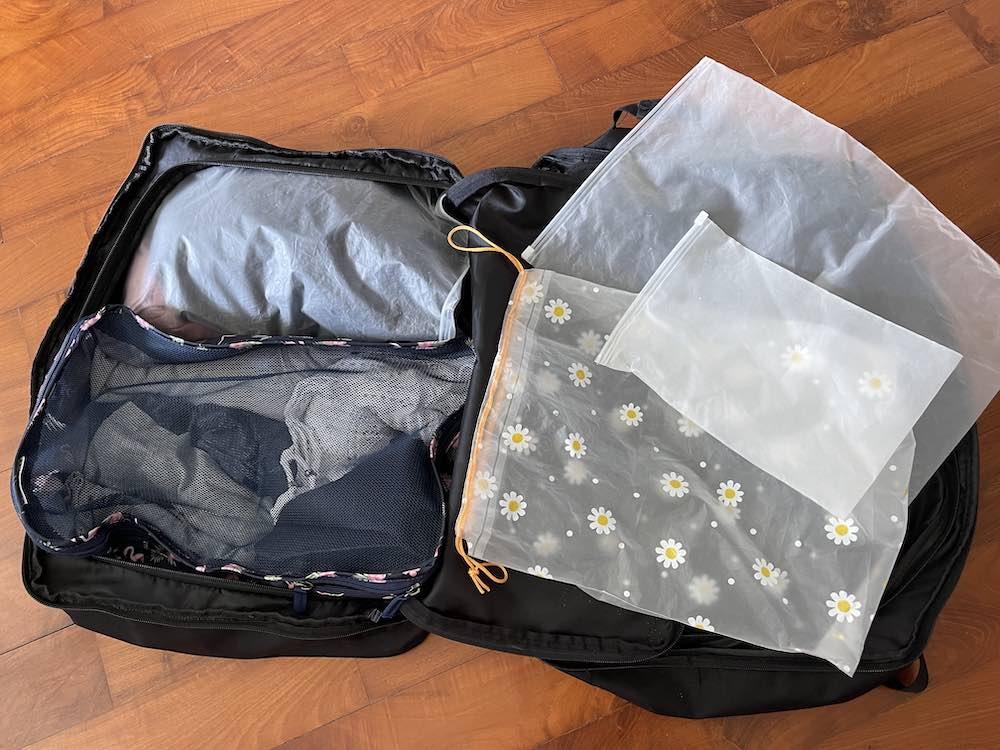 packing organiser bags
