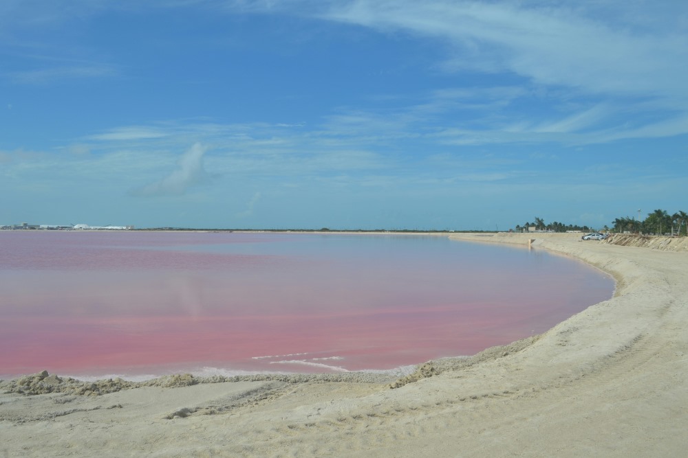 pink body of water surrounded by white sands