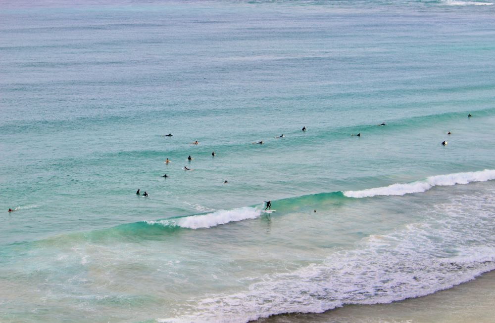 people surfing at a wavy ocean