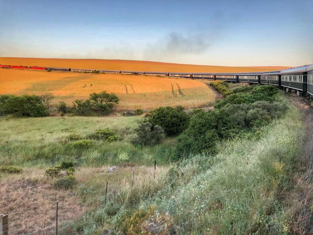 curvy train in an open field - luxury train rides