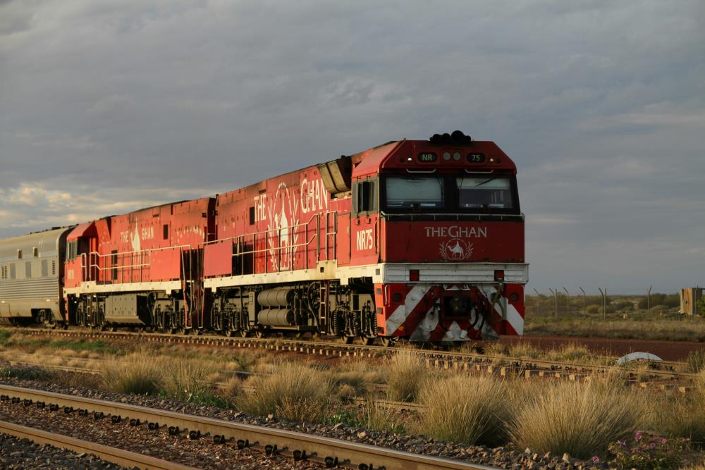 red train in an open field